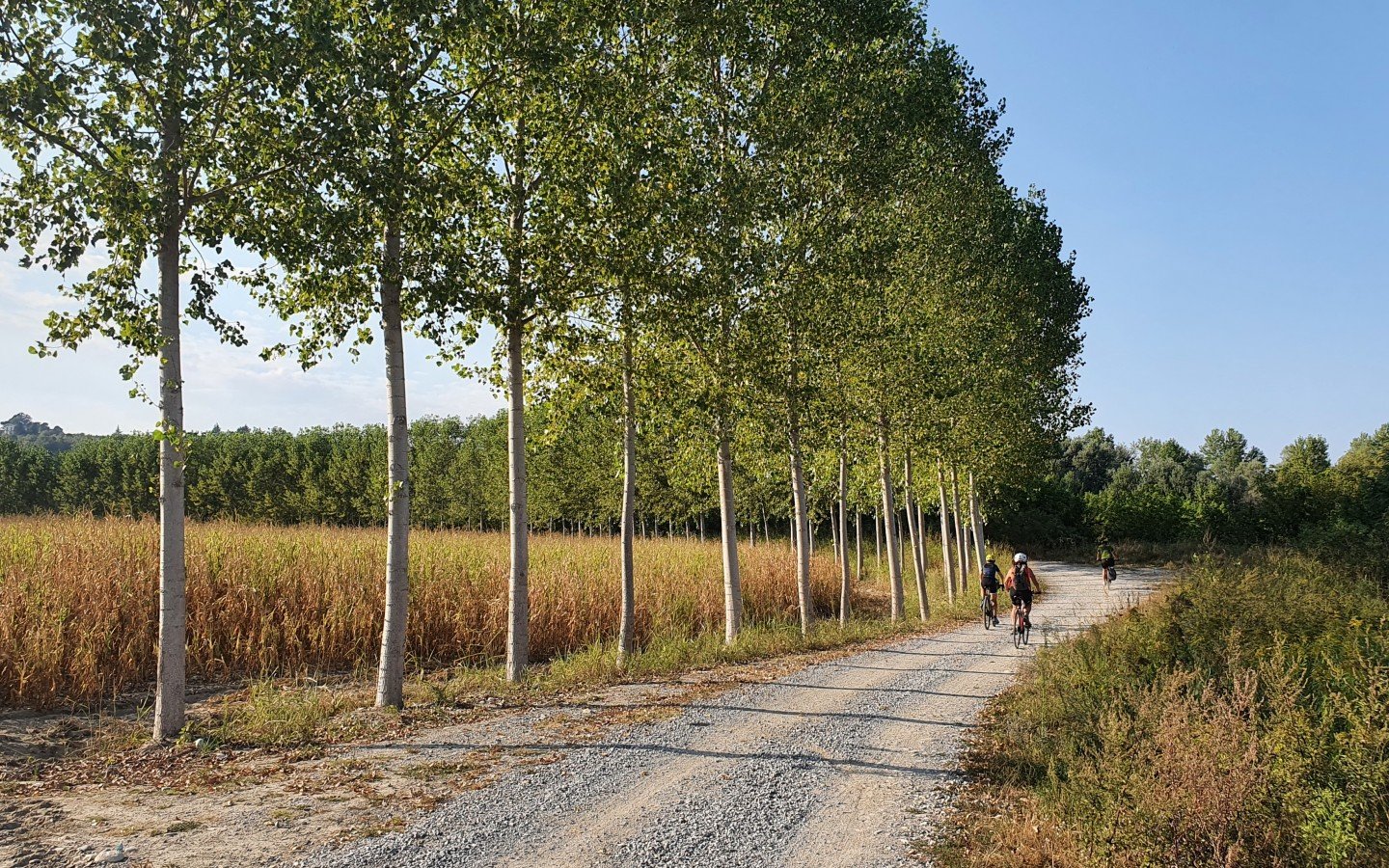 Una pedalata lungo gli argini del Tanaro nel pressi di Alba 